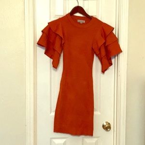 Rust ruffle sleeve knit dress